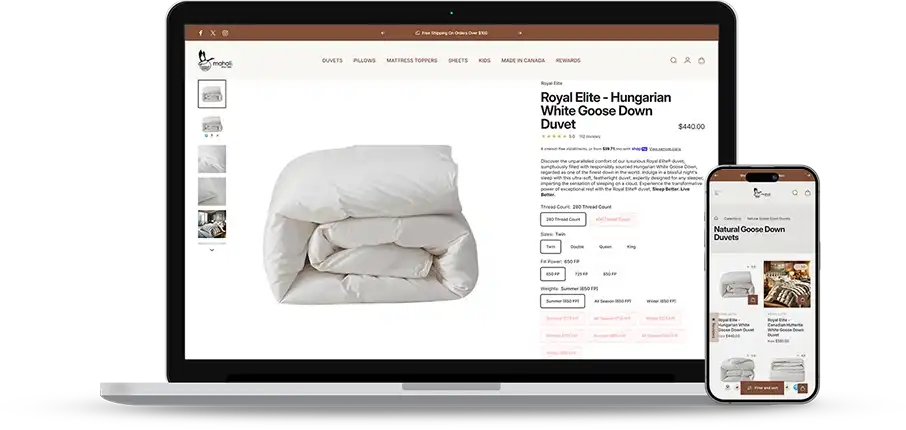 Web Design Challenges Faced by Maholi Web Design Challenges Faced by Maholi