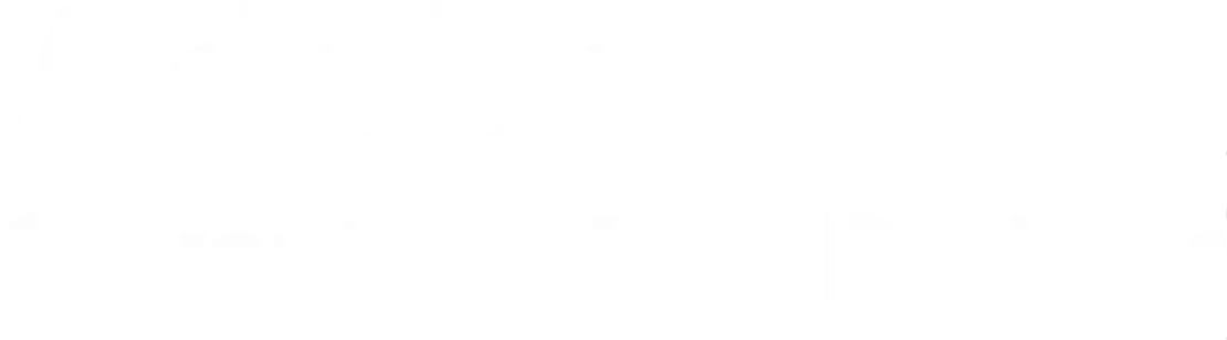 Adobe Silver Solution Partner