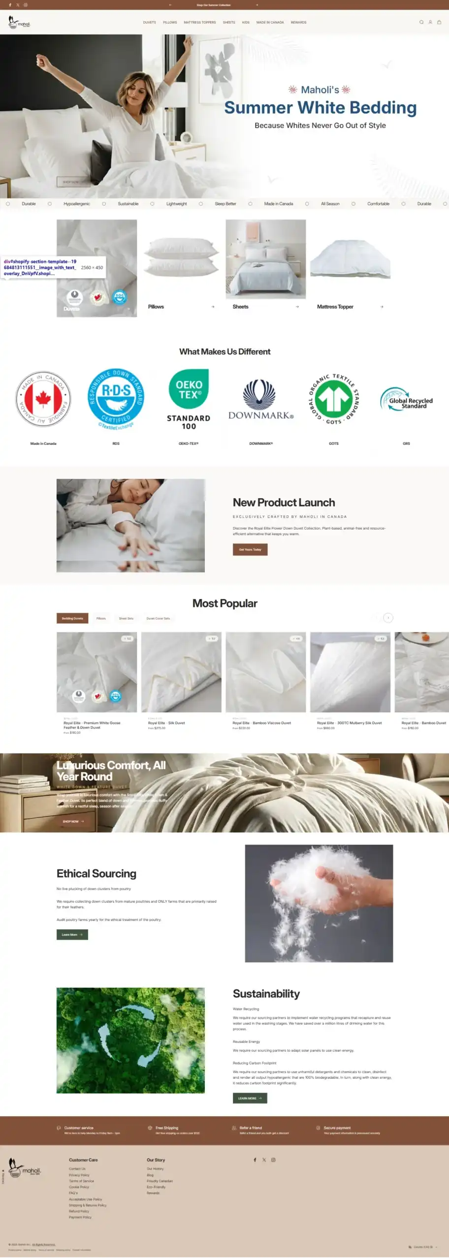 Web Design Success for Maholi Delivered Results Web Design Success for Maholi Delivered Results