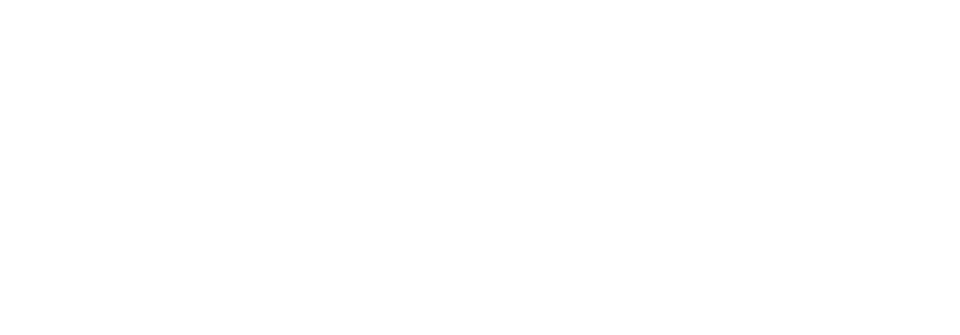 Shopify Plus Partner